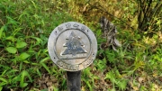 Thumbnail of pic_Derek_Wong_082.jpg
