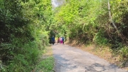Thumbnail of pic_Derek_Wong_083.jpg