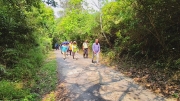Thumbnail of pic_Derek_Wong_087.jpg