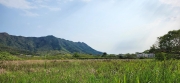Thumbnail of pic_Si9_015.jpg
