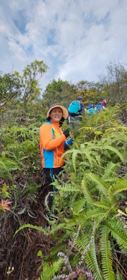 Thumbnail of pic_Si9_043.jpg