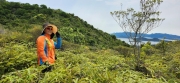 Thumbnail of pic_Si9_044.jpg