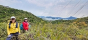 Thumbnail of pic_Si9_046.jpg