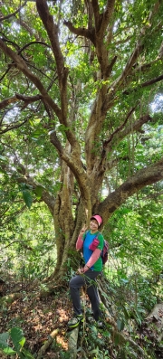 Thumbnail of pic_Si9_049.jpg