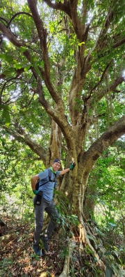 Thumbnail of pic_Si9_050.jpg