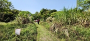 Thumbnail of pic_Si9_053.jpg