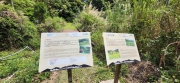 Thumbnail of pic_Si9_054.jpg