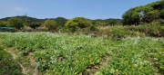 Thumbnail of pic_Si9_056.jpg