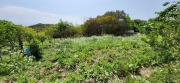 Thumbnail of pic_Si9_057.jpg