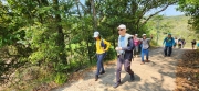 Thumbnail of pic_Si9_063.jpg