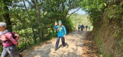 Thumbnail of pic_Si9_065.jpg