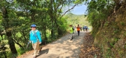 Thumbnail of pic_Si9_068.jpg