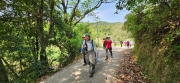 Thumbnail of pic_Si9_072.jpg