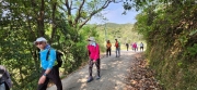 Thumbnail of pic_Si9_073.jpg