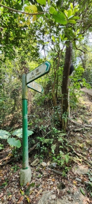 Thumbnail of pic_Si9_078.jpg