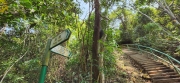 Thumbnail of pic_Si9_079.jpg