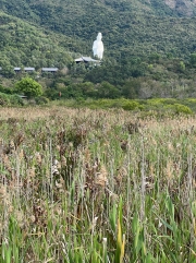 Thumbnail of pic_Winnie_Cheung_003.jpg