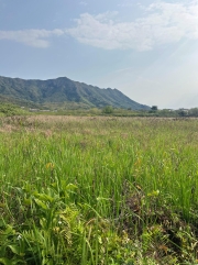 Thumbnail of pic_Winnie_Cheung_005.jpg