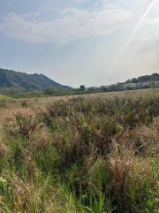 Thumbnail of pic_Winnie_Cheung_008.jpg