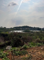 Thumbnail of pic_Winnie_Cheung_010.jpg