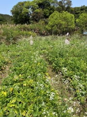 Thumbnail of pic_Winnie_Cheung_041.jpg