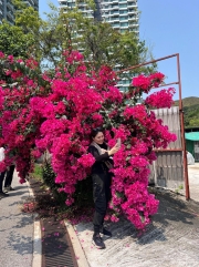 Thumbnail of pic_Winnie_Cheung_046.jpg