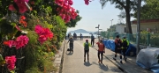 Thumbnail of pic_CW_Ho_001.jpg