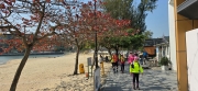 Thumbnail of pic_CW_Ho_004.jpg