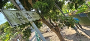 Thumbnail of pic_CW_Ho_005.jpg