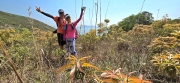 Thumbnail of pic_CW_Ho_035.jpg