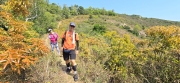 Thumbnail of pic_CW_Ho_036.jpg