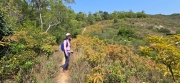 Thumbnail of pic_CW_Ho_037.jpg