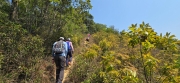 Thumbnail of pic_CW_Ho_039.jpg