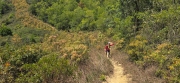 Thumbnail of pic_CW_Ho_041.jpg