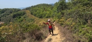 Thumbnail of pic_CW_Ho_042.jpg