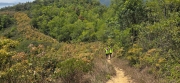 Thumbnail of pic_CW_Ho_043.jpg