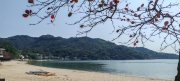 Thumbnail of pic_Cindy_Tse_008.jpg