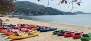 Thumbnail of pic_Cindy_Tse_010.jpg