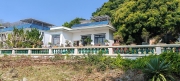 Thumbnail of pic_Cindy_Tse_011.jpg