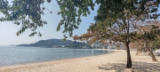 Thumbnail of pic_Cindy_Tse_012.jpg
