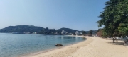 Thumbnail of pic_Cindy_Tse_013.jpg