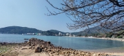Thumbnail of pic_Cindy_Tse_014.jpg
