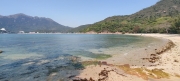 Thumbnail of pic_Cindy_Tse_017.jpg