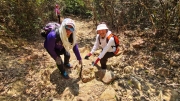 Thumbnail of pic_Derek_Wong_046.jpg