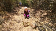 Thumbnail of pic_Derek_Wong_050.jpg