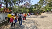 Thumbnail of pic_Derek_Wong_052.jpg
