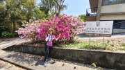 Thumbnail of pic_Derek_Wong_058.jpg
