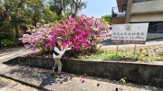 Thumbnail of pic_Derek_Wong_059.jpg