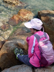 Thumbnail of pic_SK_Kwan_014.JPG