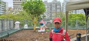 Thumbnail of pic_CW_Ho_073.jpg